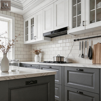 Îlot de cuisine en bois sur mesure avec évier, design moderne, style shaker simple, ensemble d'armoires noires et blanches pour cuisine