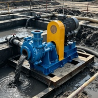 Pompe à boue résistante à l'usure pour concentrateur, rejets miniers, flottation, préparation du charbon, pompes à boue robustes à haute teneur en chrome