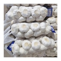 Ail Blanc Chinois de 5 cm à Bon Prix, Vente en Gros, Petites Emballages 3P/5P, Exportation, Ail Blanc Pur en Promotion avec Certification GLOBAL GAP