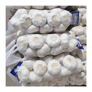 Buen precio 5cm Ajo Blanco chino al por mayor paquete pequeño 3P/5P exportación gran oferta ajo blanco puro con GLOBAL GAP - Product Image 4
