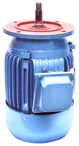0,75 kW /1 PS 380 V Gusseisenohrmotor Hostmaschine für Beckengetriebe (Verkleinerung) und Motor für Aquakulturen Paddelräder Belüfter - Product Image 3