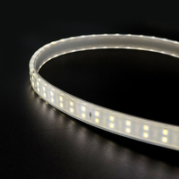 Bande LED haute tension AC 220V sans driver, découpable, en silicone extrudé, IP67, haute efficacité lumineuse pour chantier de construction