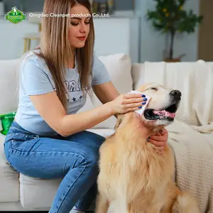 Anti BacterialCat Pet Dog Grooming Cleaning Teeth Eye Wet Cleaner Wipes Organic For Dogs Pets
