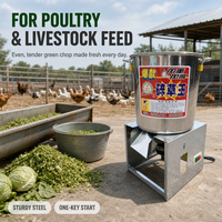 Hachoir à légumes Valente en acier inoxydable 220V, capacité 100kg/h, petit broyeur d'aliments