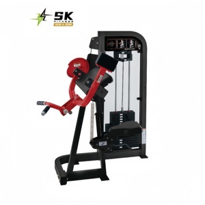 Máquina Profesional para Ejercicios de Tríceps, Equipo de Gimnasio Comercial Personalizado al por Mayor - Product Image 1