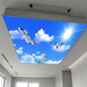 LeArt Soundproof <b>PVC</b> Flexible Fabric Ceiling Irregular Shape Modern Bedroom Decoration Seagull White Clouds Sky Wallpaper Mural - Product Image 3
