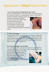 Promosi Pabrik China Mesin Laser Endolifting <span class=keywords><strong>1470nm</strong></span> 635nm untuk Pengangkatan Varises dan Penghapusan Vena - Product Image 4