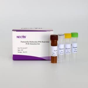 Hoch empfindliches fluor zieren des PCR-Kit zur präzisen Erkennung von Pasteur ella multocida bei Schweinen - Product Image 3