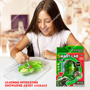 Jouet éducatif d'animaux dissectionnés, Jouets STEM, Kit de laboratoire scientifique éducatif pour la dissection de chauves-souris, Jouets de slime d'animaux simulés dissectionnés - Product Image 6