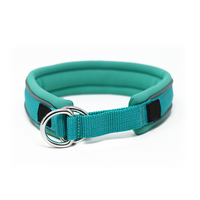 Collier de chien personnalisé de luxe en nylon réfléchissant confortable avec rembourrage en mousse, à enfiler