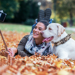 Collar de nailon grueso y pesado para perro, collarín de entrenamiento táctico grande para perro, logotipo personalizado a granel, venta al por mayor - Product Image 6