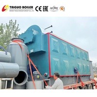 Ketel Uap Biomassa 12 Ton Berbahan Bakar Batubara Efisiensi Tinggi dengan Rangka Rantai Otomatis, Generator Uap Industri untuk Penggunaan Industri