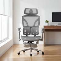 Chaise de bureau ergonomique en maille de milieu de gamme pour les projets de bureaux au Qatar et la distribution