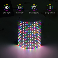 Écran d'affichage LED flexible programmable IP20 DC5V WS2812B en cuivre Epistar pour panneau matriciel paysager 8x8 16x16 8x32