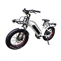 Vélo électrique pour enfants de 20 pouces avec pneus larges, moteur Bafang 750W, batterie au lithium 48V, frein mécanique sur fourche avant, écran LCD, 7 vitesses, vente en gros