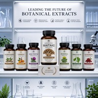 Extrait de champignon Maitake naturel en poudre, 30% 50% de polysaccharides, complément alimentaire de qualité alimentaire
