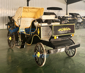 Chariot Royal Électrique Haut de Gamme pour Visites Touristiques – Produits de Qualité Supérieure et Élégants - Product Image 4
