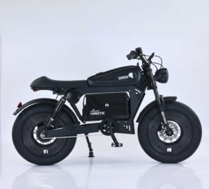 Distribución al por Mayor OEM/ODM, Motocicleta Eléctrica Negra de 500/1500/3000W para Conducción Urbana - Product Image 1