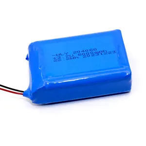 High capacity 3.7v battery 104060 1S2P 204060 6000mah rechargeable lipo lithium battery for GPS PSP