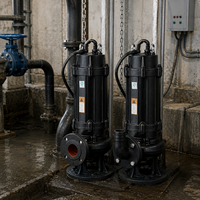 Pompe submersible à double canal en acier inoxydable et fonte, haute performance, pour drainage des eaux usées industrielles en usine, OEM