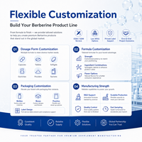 Approvisionnement direct usine, vente en gros, marque privée OEM, supplément en capsules de Berbérine HCL pour soutenir la fonction cellulaire et la fonction métabolique