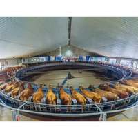 Plateforme de traite rotative grande capacité, station personnalisable, machine à traire intelligente en acier inoxydable 304 pour élevages laitiers