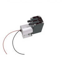 Mini pompe à eau sans balais 0,7L/min 200Kpa 20Kpa 6V-24V auto-amorçante OEM