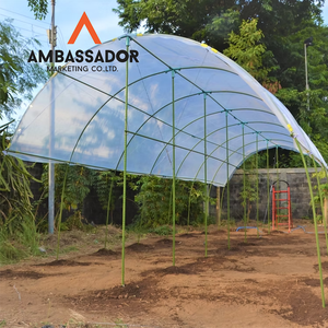 Robusto 8 11 16 20mm Estacas para plantas Envuelto PE Estacas para invernadero Anti óxido Tomate Pepino Soporte de jardinería para trepar plantas - Product Image 4