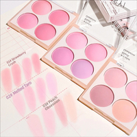 Fard à joues doux superposable pour la formation en maquillage professionnel dans les académies de beauté