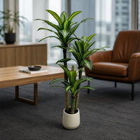 Meilleures ventes transfrontalières : Arbre artificiel 'Sang de Dragon' en tissu sérigraphié, feuillage riche, ornement décoratif d'intérieur 100-200cm