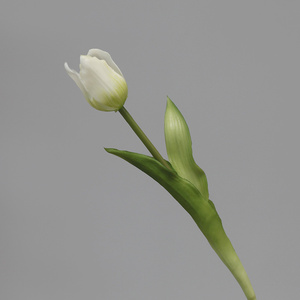 C-132 <span class=keywords><strong>ด</strong></span>อกทิวลิปปลอมแบบก้านเ<span class=keywords><strong>ด</strong></span>ี่ยว สัมผัสเหมือน<span class=keywords><strong>จริง</strong></span> งานแฮน<span class=keywords><strong>ด</strong></span>์เมด สำหรับตกแต่งบ้าน งานแต่งงาน งานปาร์ตี้ - Product Image 6