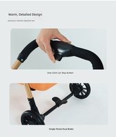 Poussette pliable à double étage pour chiens et chats, légère, avec vue surélevée