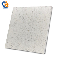 Carreaux de salle de bain modernes en porcelaine à texture de grain de bois rustique, surface mate, antidérapants, antibactériens, épaisseur 9 mm, bordures ACCENTS