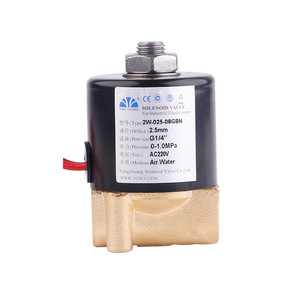 Yongchuang Solenoid Valve 2W-025-08GBN G1/4 Ac220V For Air Water Control - Product Image 1