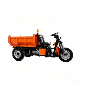 ผลิตในจีน มินิ 1.5 3000w รถสามล้อดั๊มพ์เปอร์ - Product Image 6