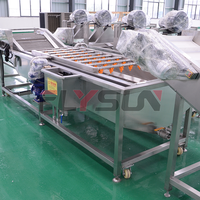 Mesin Pengering dan Pembersih Tomat Otomatis dengan Kontrol PLC, Gearbox untuk Pengolahan Makanan, Hemat Energi, Bubuk Sayuran