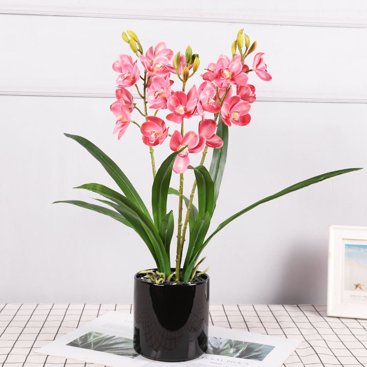 สีชมพูเข้ม