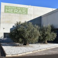 ACEITE DE OLIVA PURO EN BARRIL DE 200 kg (220 L) - Mejor Precio de Aceite de Oliva al por Mayor de España - Aceite de Oliva Puro de Alta Calidad en Barril