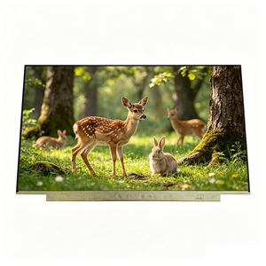 โมดูลจอ LCD Innolux ขนาด 14 นิ้ว IPS แบบไม่สัมผัส 60Hz พร้อมไฟแบ็คไลท์ สำหรับโน้ตบุ๊กอุตสาหกรรมแบบพกพา จอแตก - Product Image 5
