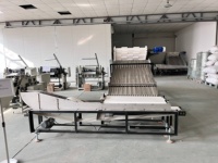 Ligne de production de couverts en bois jetables (cuillères, fourchettes, couteaux) avec système d'alimentation automatique haute vitesse et machine d'alignement et d'agencement