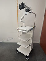 Chariot vidéo personnalisé Portable laryngoscope Flexible laryngoscope endoscope tour arthroscopie chariot endoscope chariot