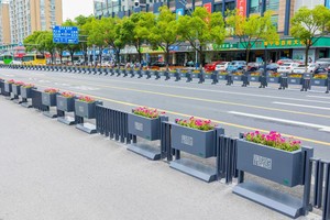 Fior Box Guardrail città abbellimento ornamentale città recinzione strada <span class=keywords><strong>marciapiede</strong></span> sicurezza Anti-collisione zinco ringhiera in acciaio - Product Image 6