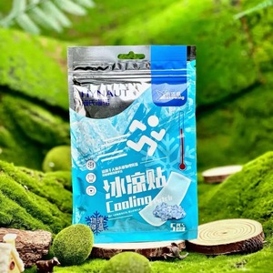 Lyisosan <b>Cooling</b> Patches 40mmx110mm 10 Pcs For Heat Relief And Fever Reduction Summer <b>Cooling</b> Patch - Product Image 3