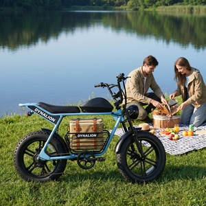 Bicicleta Eléctrica Clásica Vintage con Batería Extraíble, Bicicleta Eléctrica con Llantas Anchas para Desplazamientos y Regalos - Product Image 6