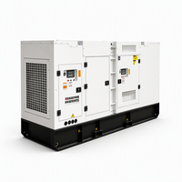 Mobiler Yunnei Silent Dieselgenerator 40kW 50kW für Kleinbetriebe 400V 230V Wassergekühlt mit ATS Autostart Direktexport