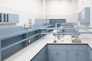 Meubles de laboratoire montés au sol bleus de haute qualité banc de laboratoire personnalisé avec étagères de réactif d'évier et armoires de rangement