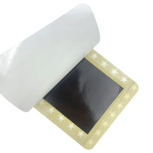 OEM ODM لصقة آلام العضلات من مورد الصين منتج جص صيني مخصص - Product Image 4