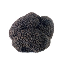 Truffe Noire Sauvage Chinoise Fraîche Naturelle