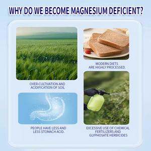 مكملات ماغنيسيوم جلايسينات 3 في 1 مركب من الماليت + السيترات + الجلايسينات كبسولات ماغنيسيوم 3 في 1 تصنيع حسب الطلب - Product Image 2