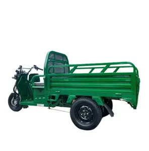 China electric tricycle long range cargo electric tricycle for daily use 3 Wheel Electric Tricycles
